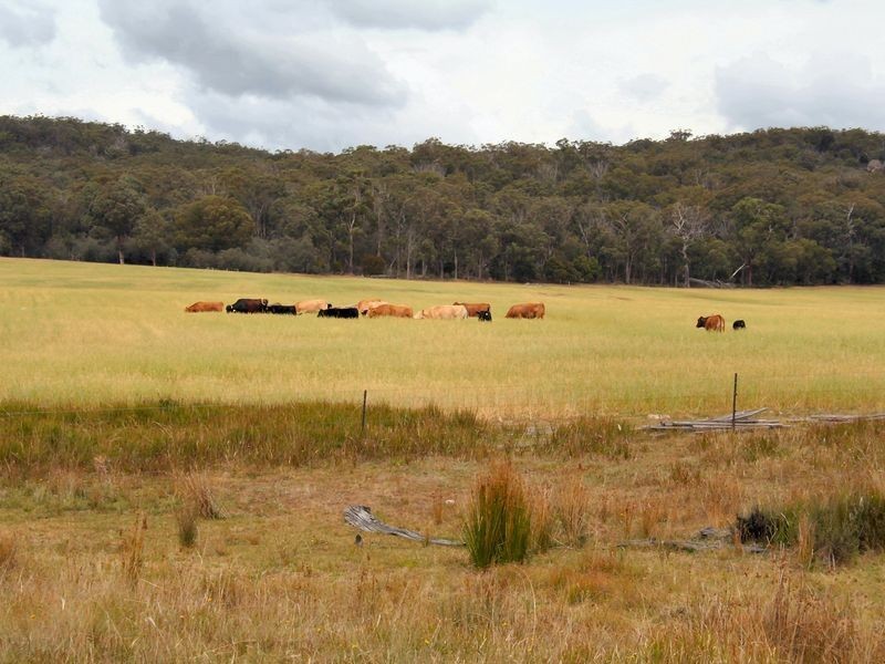 West Lynn Carrot Farm Road, Deepwater NSW 2371