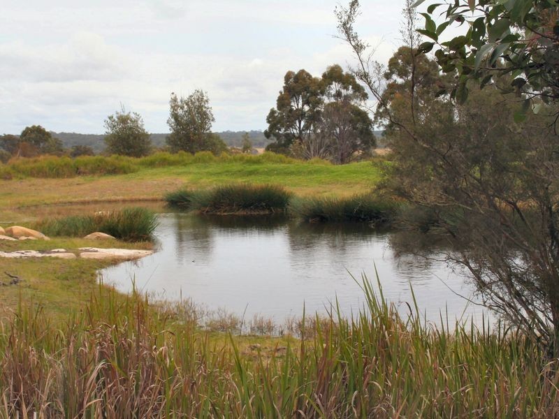 West Lynn Carrot Farm Road, Deepwater NSW 2371