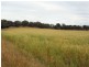 West Lynn Carrot Farm Road, Deepwater NSW 2371