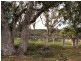 West Lynn Carrot Farm Road, Deepwater NSW 2371