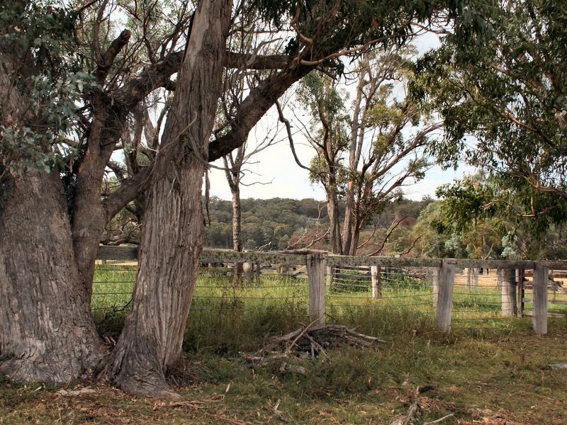 West Lynn Carrot Farm Road, Deepwater NSW 2371