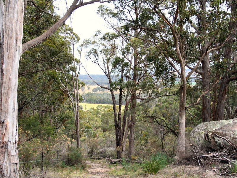 West Lynn Carrot Farm Road, Deepwater NSW 2371