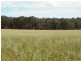 West Lynn Carrot Farm Road, Deepwater NSW 2371