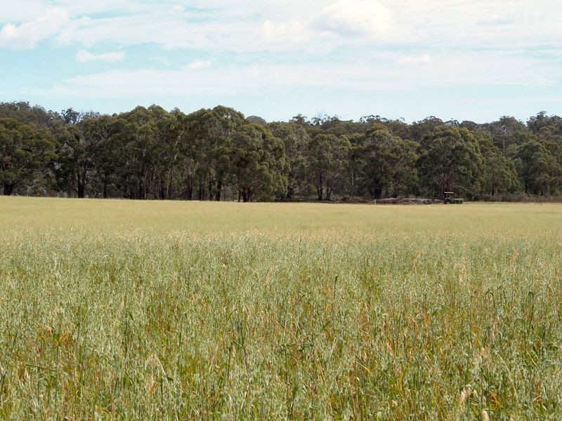 West Lynn Carrot Farm Road, Deepwater NSW 2371