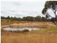 West Lynn Carrot Farm Road, Deepwater NSW 2371