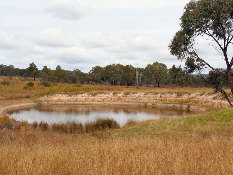 West Lynn Carrot Farm Road, Deepwater NSW 2371