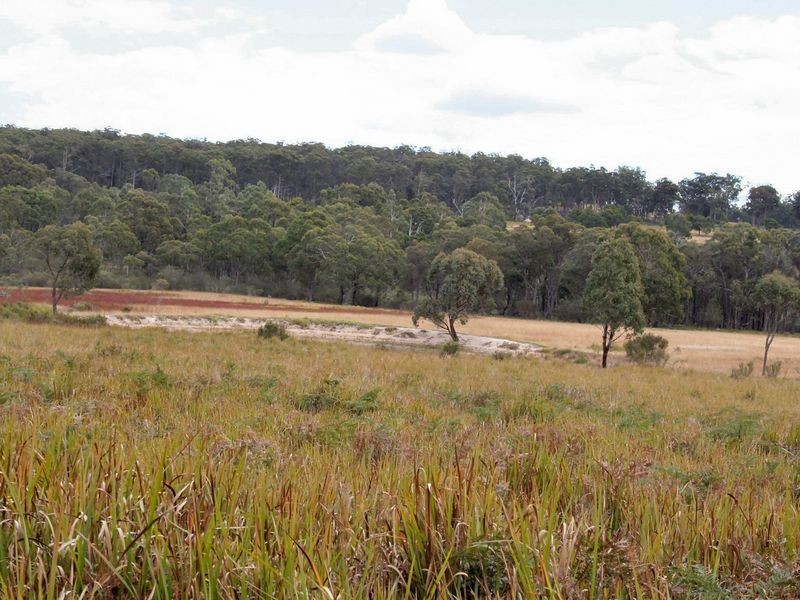 West Lynn Carrot Farm Road, Deepwater NSW 2371
