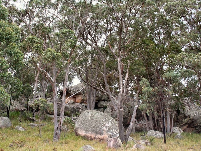 West Lynn Carrot Farm Road, Deepwater NSW 2371