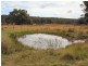 West Lynn Carrot Farm Road, Deepwater NSW 2371