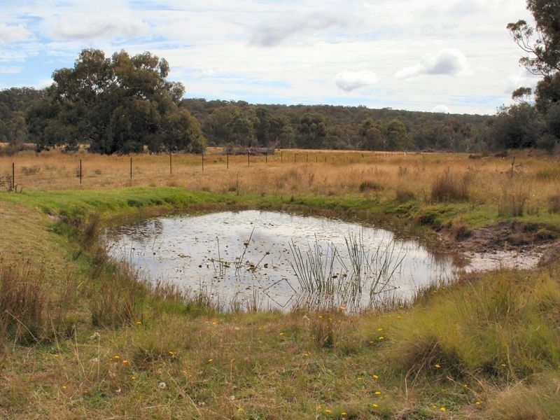 West Lynn Carrot Farm Road, Deepwater NSW 2371