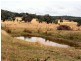 West Lynn Carrot Farm Road, Deepwater NSW 2371