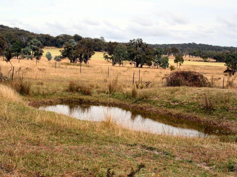 West Lynn Carrot Farm Road, Deepwater NSW 2371