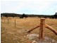 West Lynn Carrot Farm Road, Deepwater NSW 2371