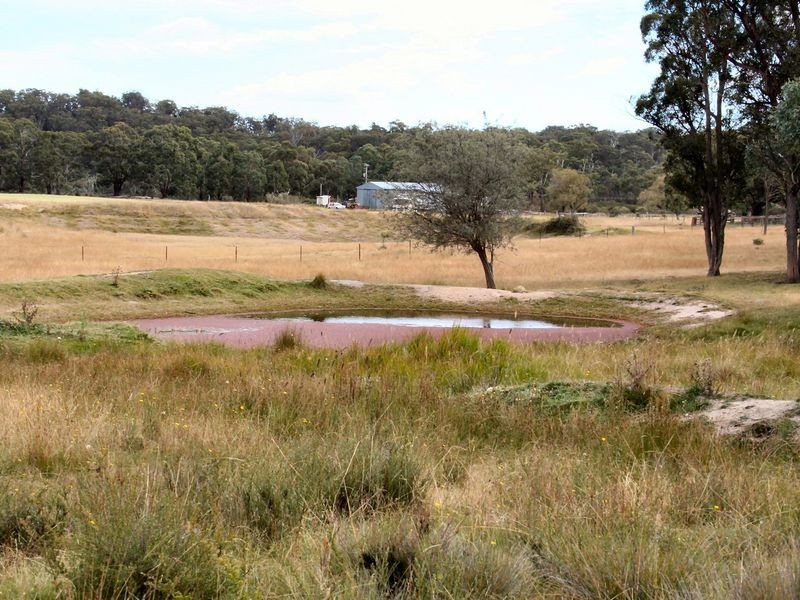 West Lynn Carrot Farm Road, Deepwater NSW 2371