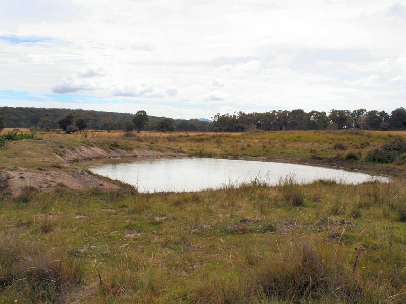 West Lynn Carrot Farm Road, Deepwater NSW 2371
