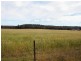 West Lynn Carrot Farm Road, Deepwater NSW 2371
