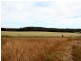 West Lynn Carrot Farm Road, Deepwater NSW 2371