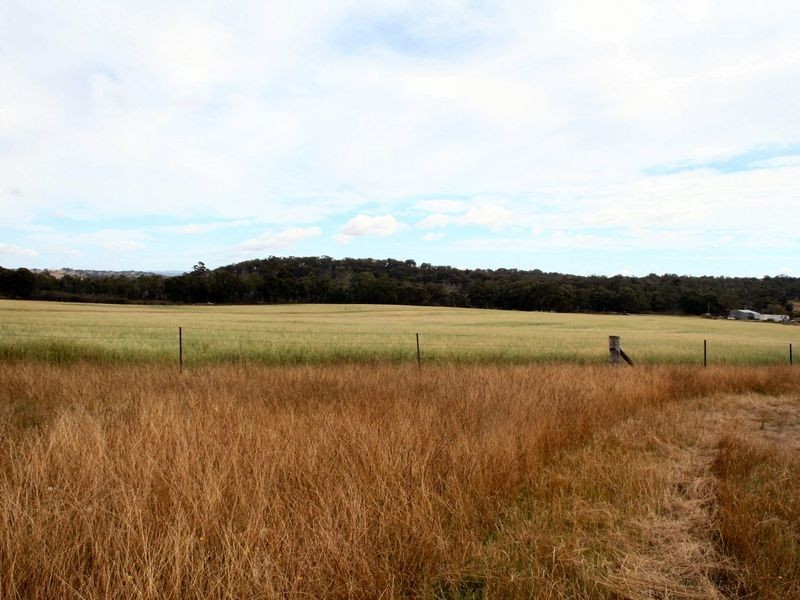 West Lynn Carrot Farm Road, Deepwater NSW 2371