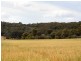 West Lynn Carrot Farm Road, Deepwater NSW 2371