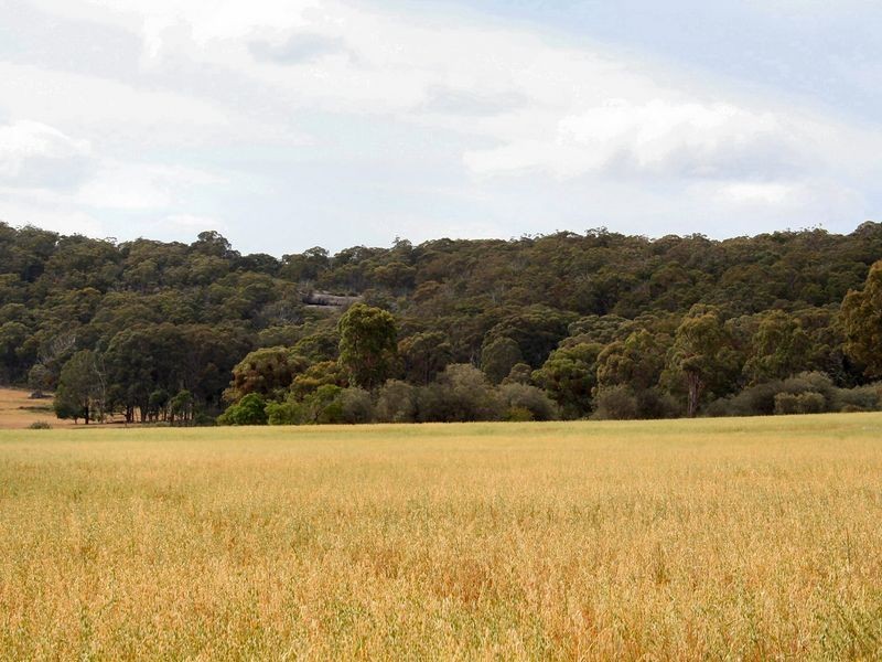 West Lynn Carrot Farm Road, Deepwater NSW 2371