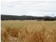 West Lynn Carrot Farm Road, Deepwater NSW 2371