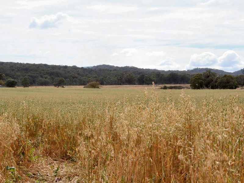 West Lynn Carrot Farm Road, Deepwater NSW 2371
