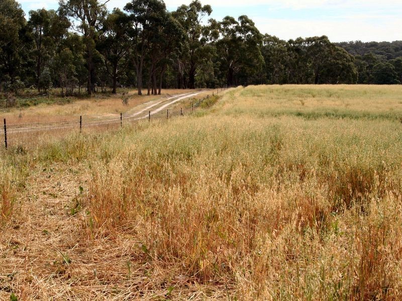 West Lynn Carrot Farm Road, Deepwater NSW 2371