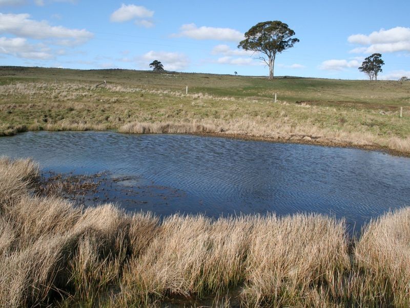 5567 New England Highway, Llangothlin NSW 2365