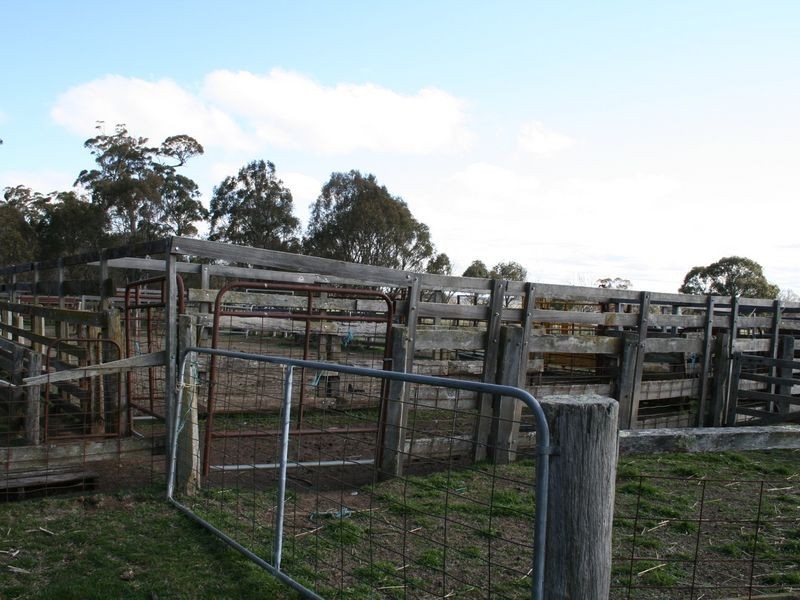 5567 New England Highway, Llangothlin NSW 2365