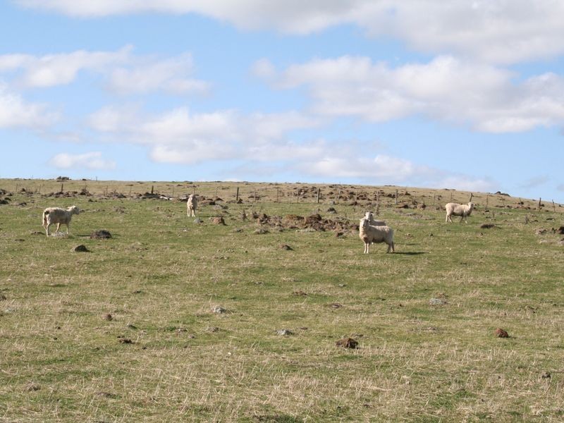 5567 New England Highway, Llangothlin NSW 2365