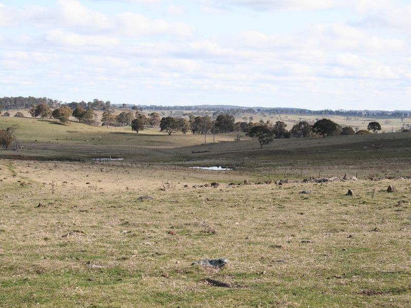 5567 New England Highway, Llangothlin NSW 2365