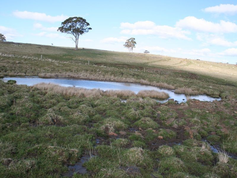 5567 New England Highway, Llangothlin NSW 2365