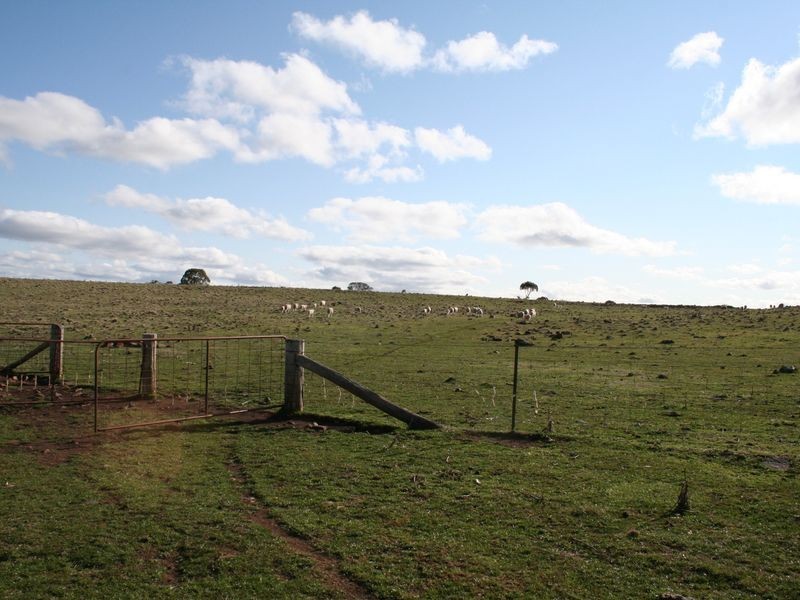 5567 New England Highway, Llangothlin NSW 2365