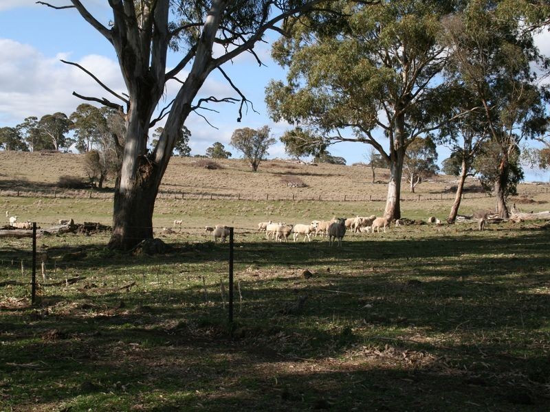 5567 New England Highway, Llangothlin NSW 2365