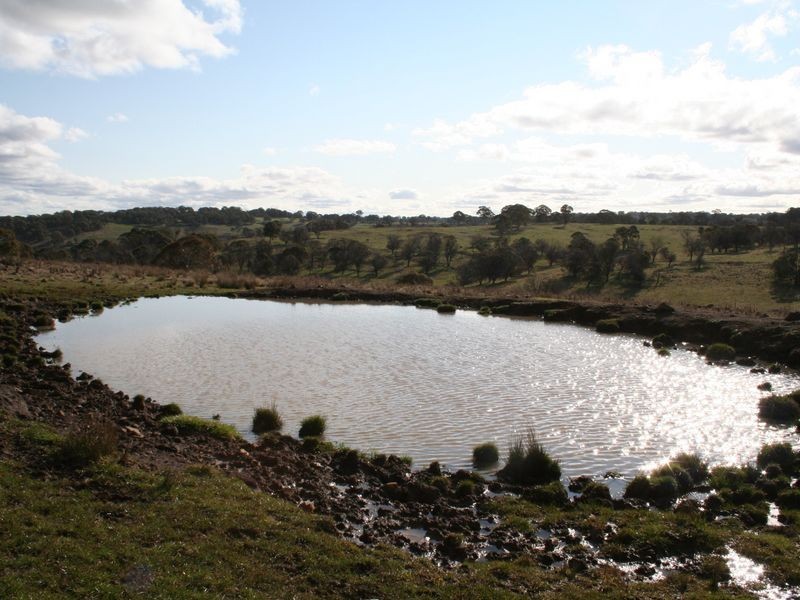 5567 New England Highway, Llangothlin NSW 2365