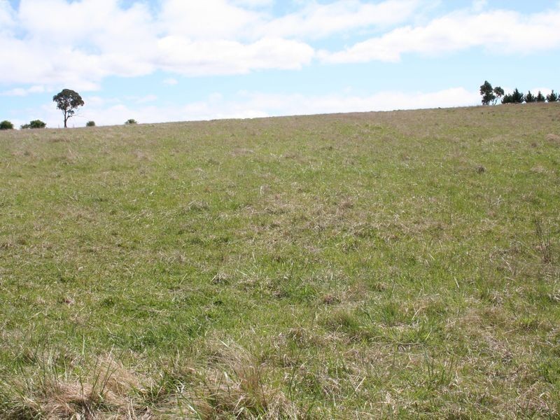 Lot 23 Golf Links Road, Glen Innes NSW 2370