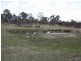 22 Catarrh Creek, Torrington NSW 2371