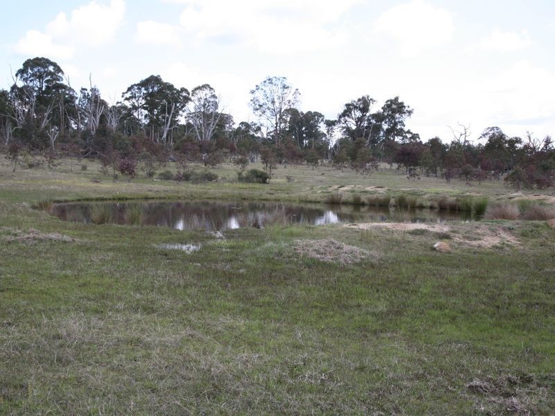 22 Catarrh Creek, Torrington NSW 2371