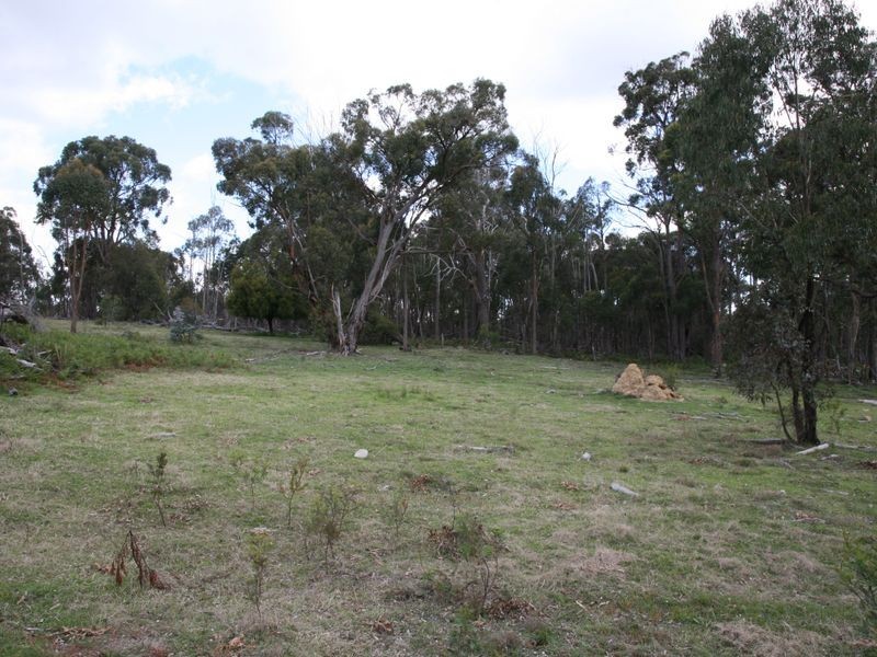 22 Catarrh Creek, Torrington NSW 2371