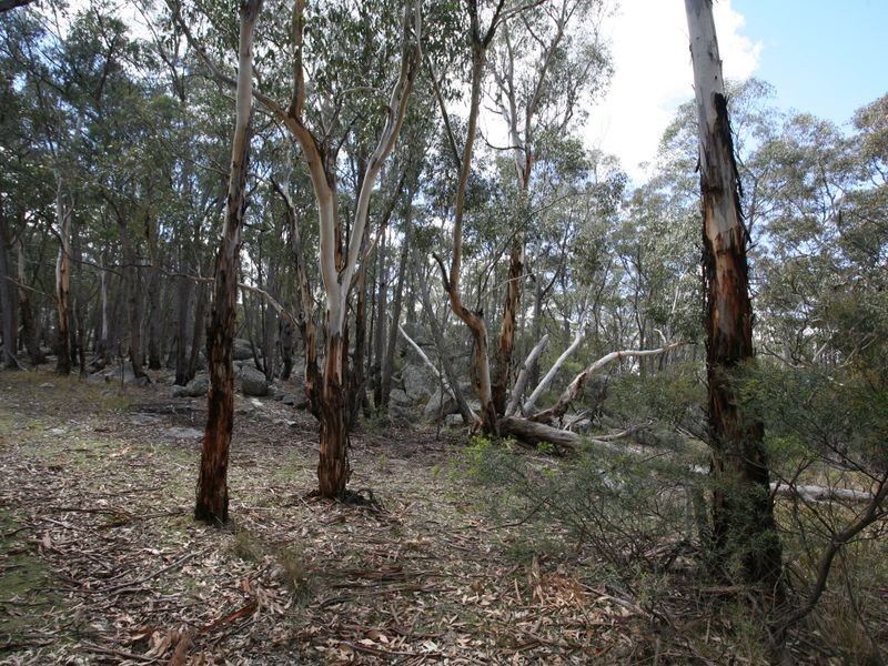 78 Dutchmans Road, Torrington NSW 2371