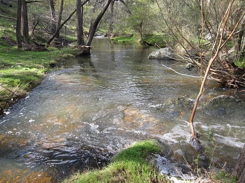 Tenterfield NSW 2372