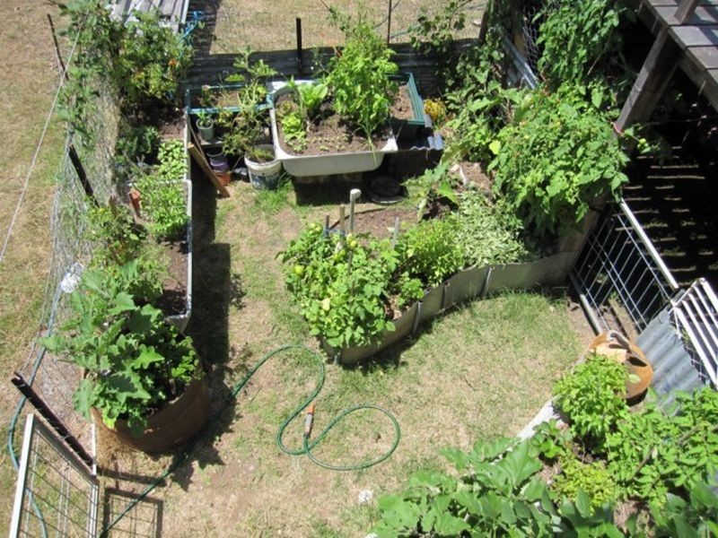 Tenterfield NSW 2372