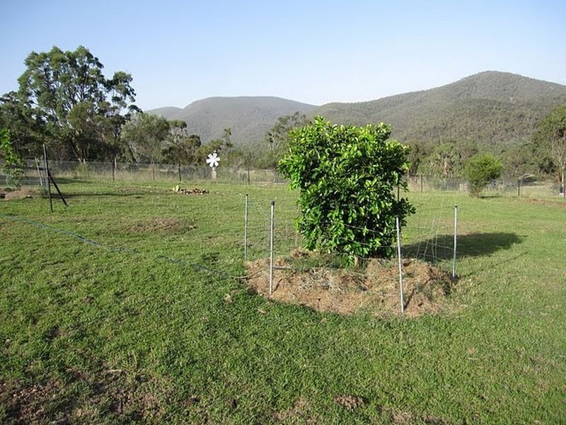 Tenterfield NSW 2372