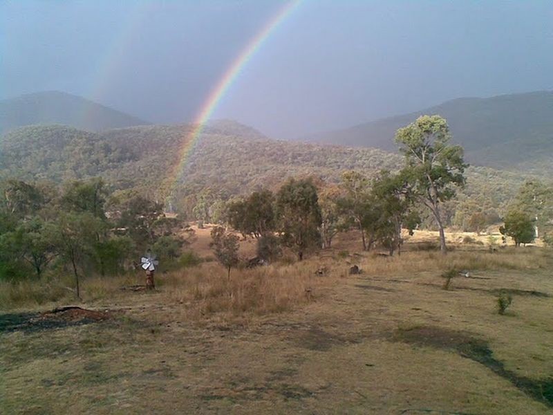 Tenterfield NSW 2372