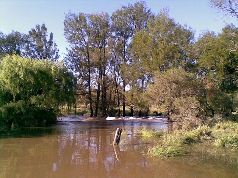 Tenterfield NSW 2372