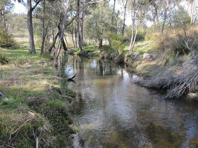 Tenterfield NSW 2372