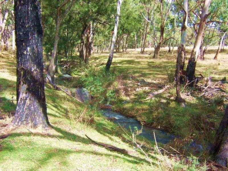 Tenterfield NSW 2372