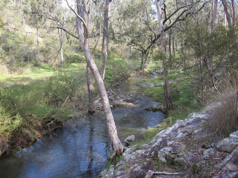 Tenterfield NSW 2372
