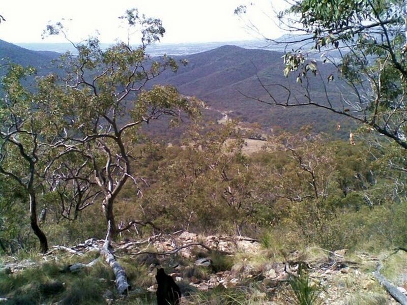 Tenterfield NSW 2372