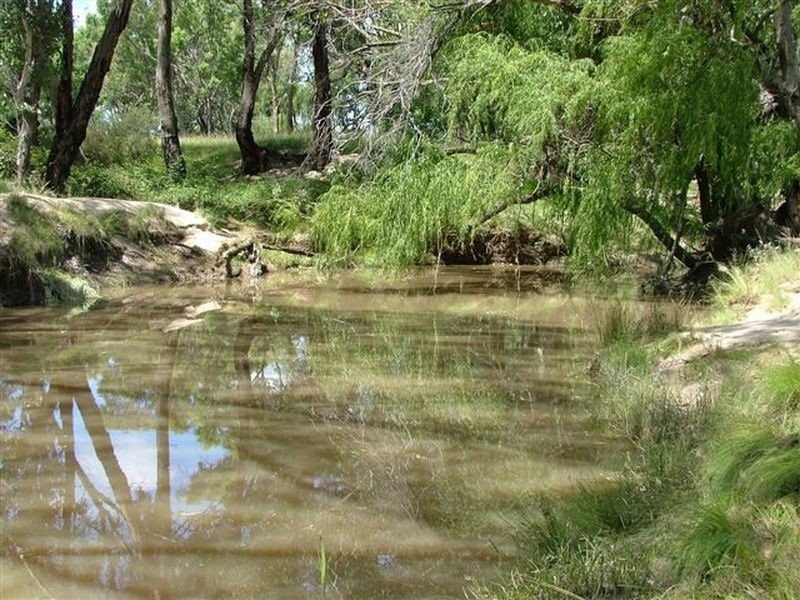 LOT 149 Poolbrook Road, Nullamanna NSW 2360